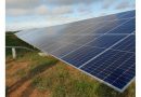 Projet de centrale photovoltaïque : 26 associations écrivent au ministre
